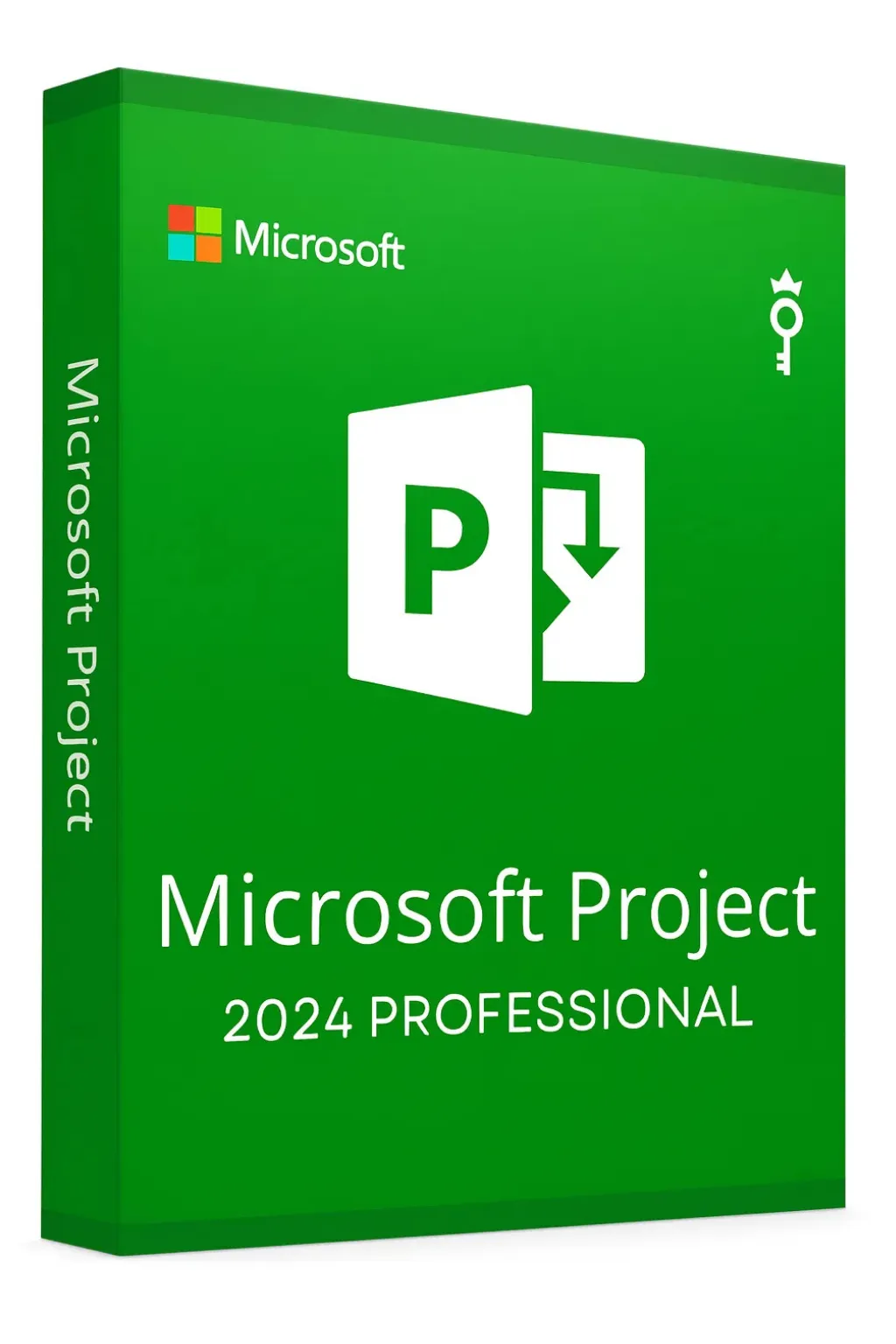 Microsoft Project Professional 2024 Clave – Activación de por Vida - Solución profesional de gestión de proyectos para ... - Buy now at Prise Keys