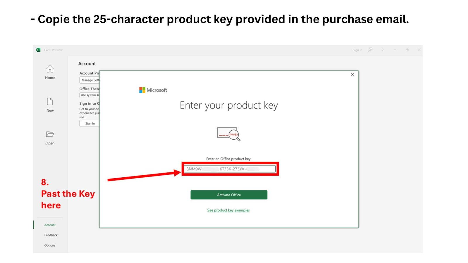 Step 9 - Paste the product key