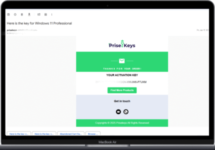 Prise keys email purchase